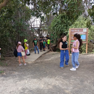 Un grupo de niños y adultos en un sendero natural marcado "Sendero Manglar La Boca San Jacinto".